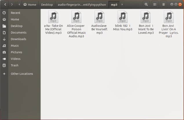 Music Files Audio Fingerprint Identifying